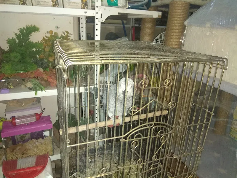 Rüya Pet Shop foto 2
