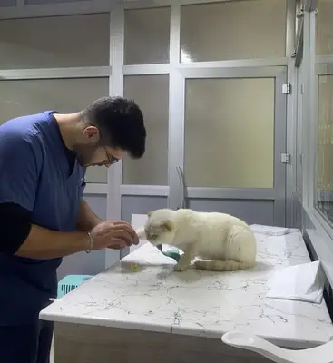 Düzce Yıldız Veteriner Kliniği