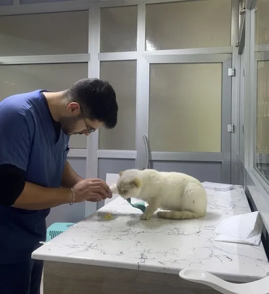 Düzce Yıldız Veteriner Kliniği foto 1