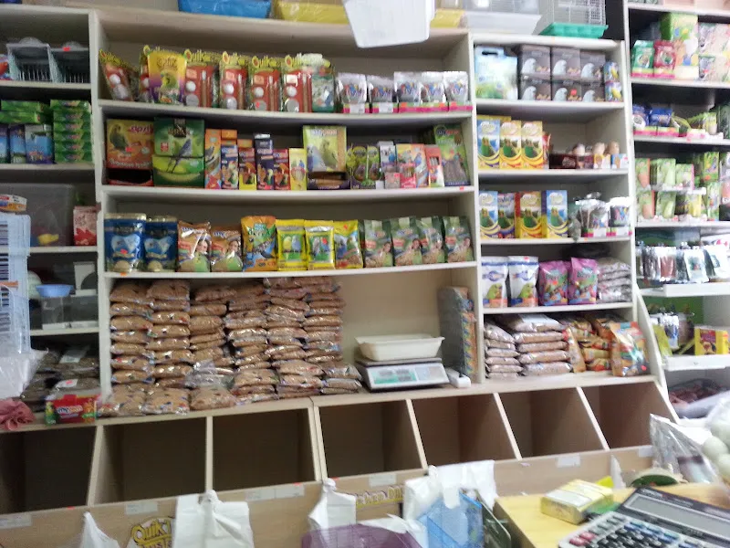 Yağmur Akvaryum Petshop Yenimahalle foto 2