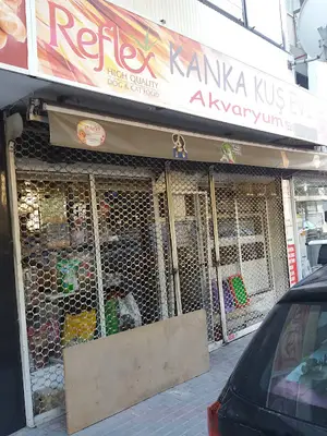 Kanka Kuş Evi