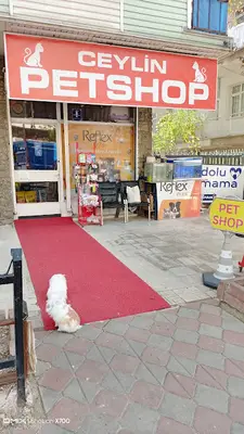 CEYLİN PETSHOP AKVARYUM