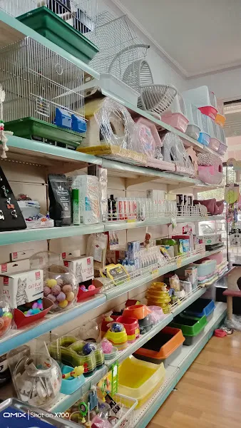 CEYLİN PETSHOP AKVARYUM foto 2