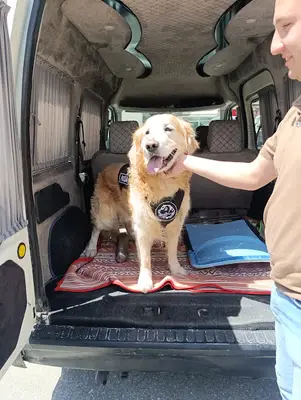 ANKA Pet Taksi
