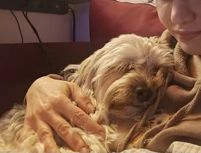 Pembe Köpek Evi | Köpek Oteli