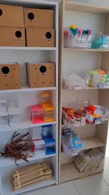 GÜLPET PETSHOP