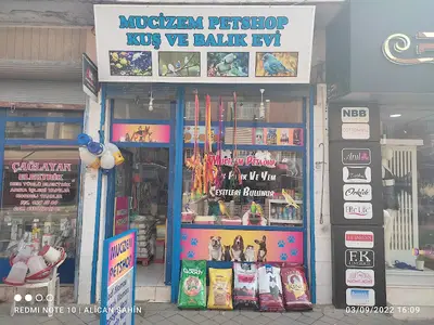 Mucizem Petshop