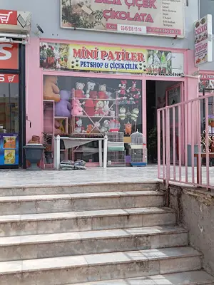 Mini patiler pethsop çiçekçilik