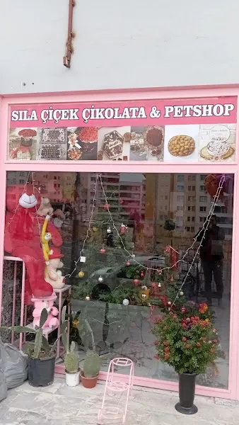 Mini patiler pethsop çiçekçilik foto 2