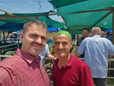 Erbaa hayvan mal pazari