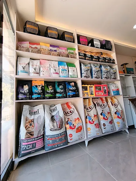 Patili Dostlar Veteriner Kliniği foto 2