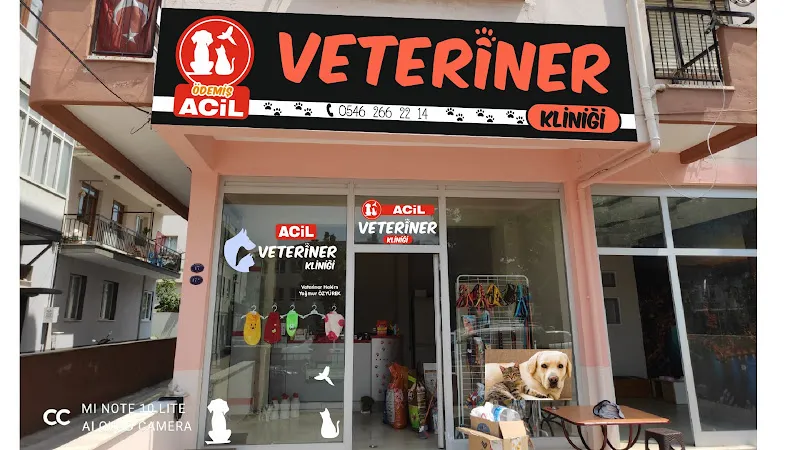 İstasyon veteriner polikliniği foto 1