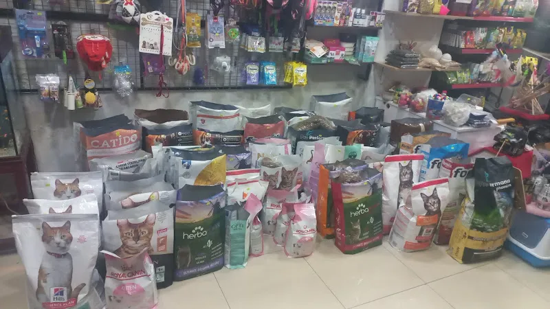 FUDA PETSHOP foto 2