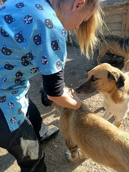 Nebiha Deprem Sopengazi Köpek bakim Evi foto 2