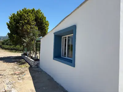 PatiPet Evcil Hayvan Oteli