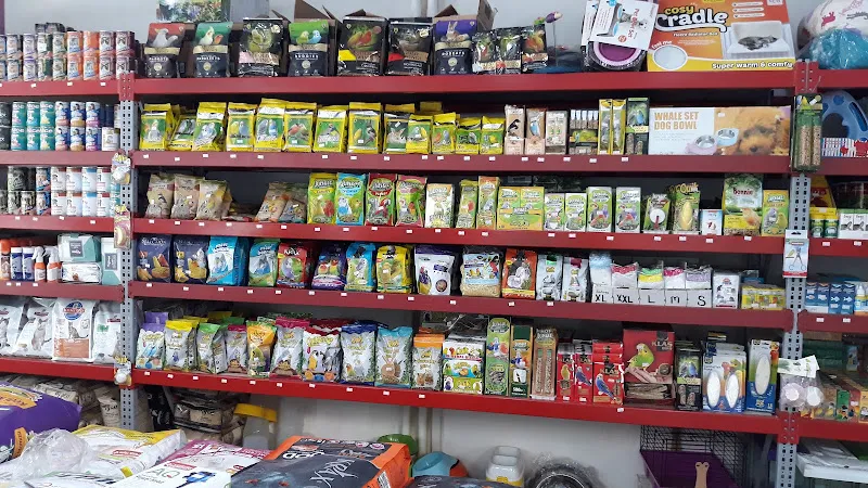 Klas Bird Pet Shop foto 2