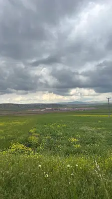 Bala Tarım Ve Hayvancılık Sığırcılık Tesisleri