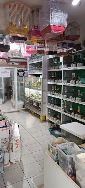 Aliağa Ünlü Akvaryum Pet Shop foto 2