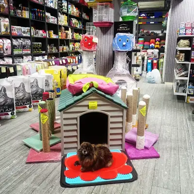 Yağmur Petshop