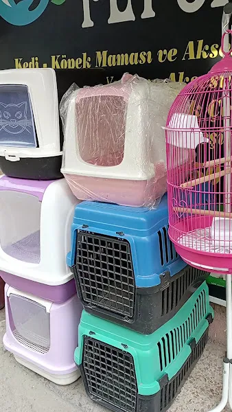 Yağmur Petshop foto 2