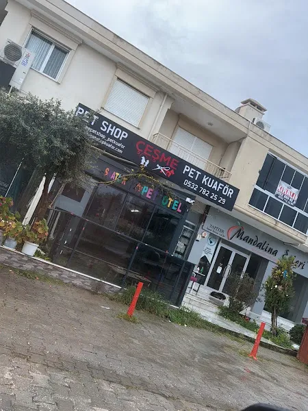 KING PETSHOP ÇEŞME MAĞAZA foto 2