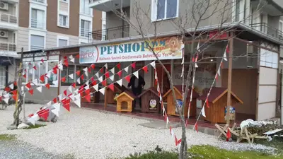 Petshopavm.com