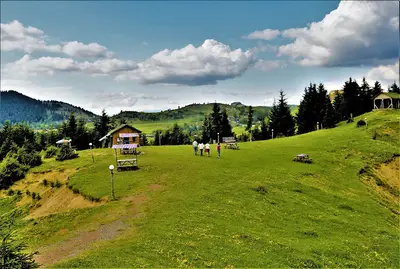 Şavşat İlçe Nüfus Müdürlüğü