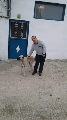 Oren Doga Pansiyon