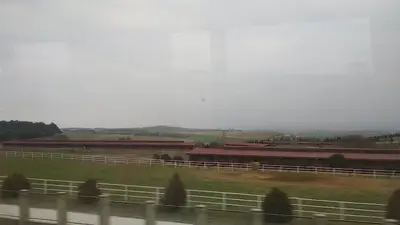 Karacabey Belediyesi Hayvan Pazarı