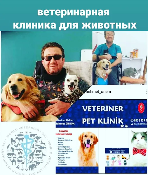 bayveter pet klinik foto 2