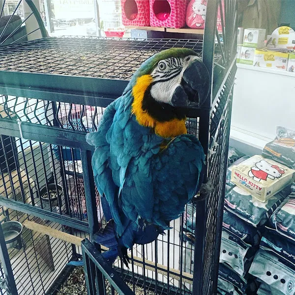 AtmPetshop foto 2