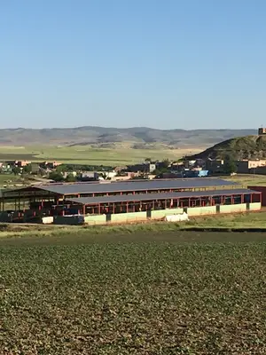 AZİZOĞLU TARIM VE HAYVANCILIK