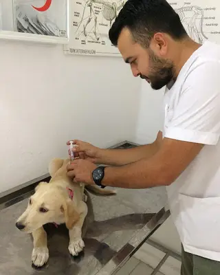 ÇAYCUMA VETERİNER KLİNİĞİ TÜRKVET VETERİNERLİK
