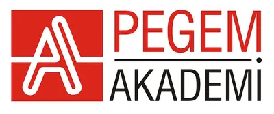 Zonguldak Pegem Akademi