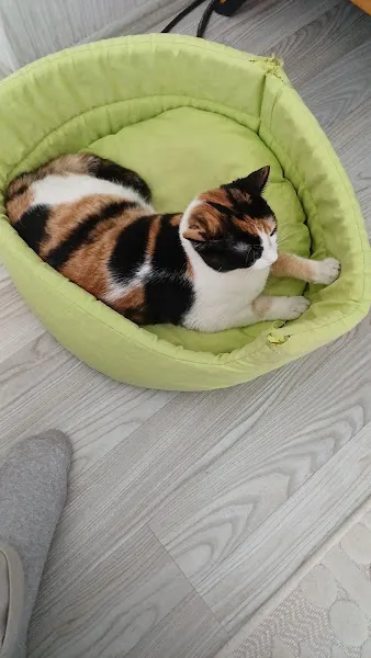 DURU PARK Veteriner kliniği foto 2