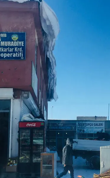 ÖZGÜR PETSHOP foto 2