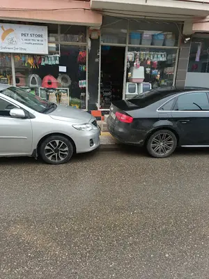 FINDIK PETSHOP