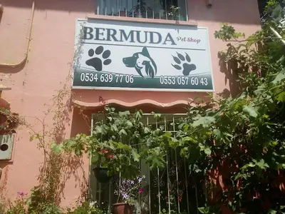 Bermuda PetShop