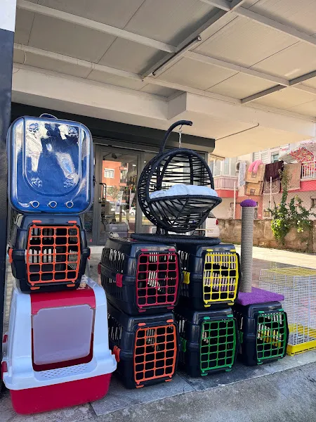 Badem Petshop foto 2