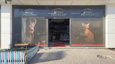 Mamabankası