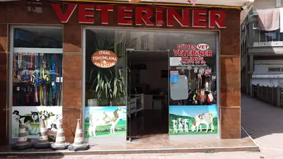 Terme Veteriner fotoğrafı