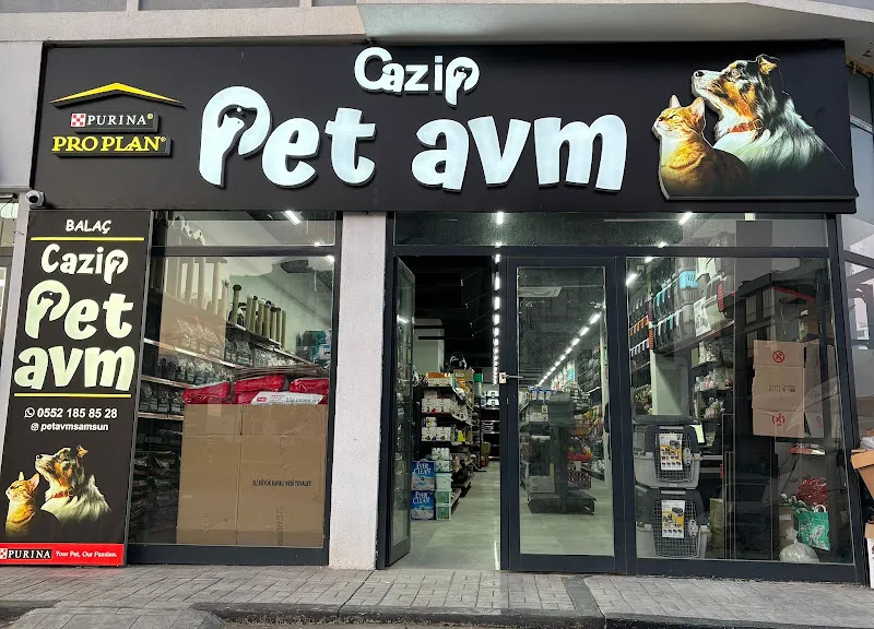 Cazip pet AVM 3 Balaç foto 1