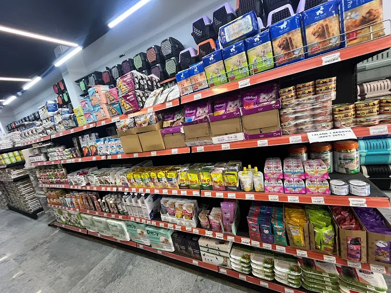 Cazip pet AVM 3 Balaç foto 2