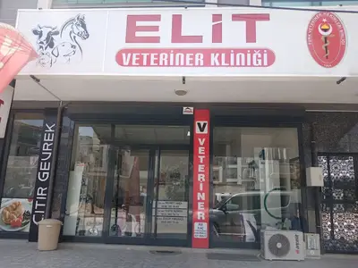 Elit Veteriner kliniği