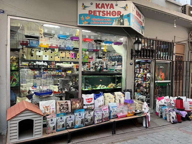 KAYA PETSHOP foto 1