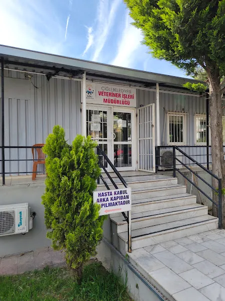 hayvan barınağı foto 2