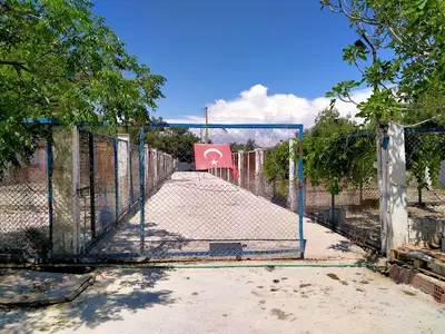 Foça Yavuz köpek barınağı