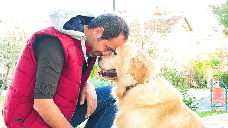 Mustafa Kobaş Dog House Köpek Eğitim Merkezi foto 1