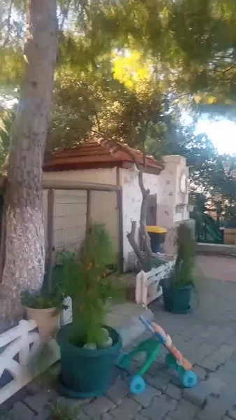 Urla Köpek Okulu foto 2