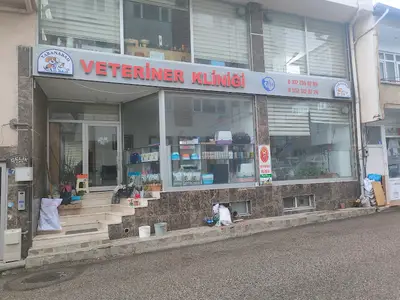 Timur Veteriner Kliniği